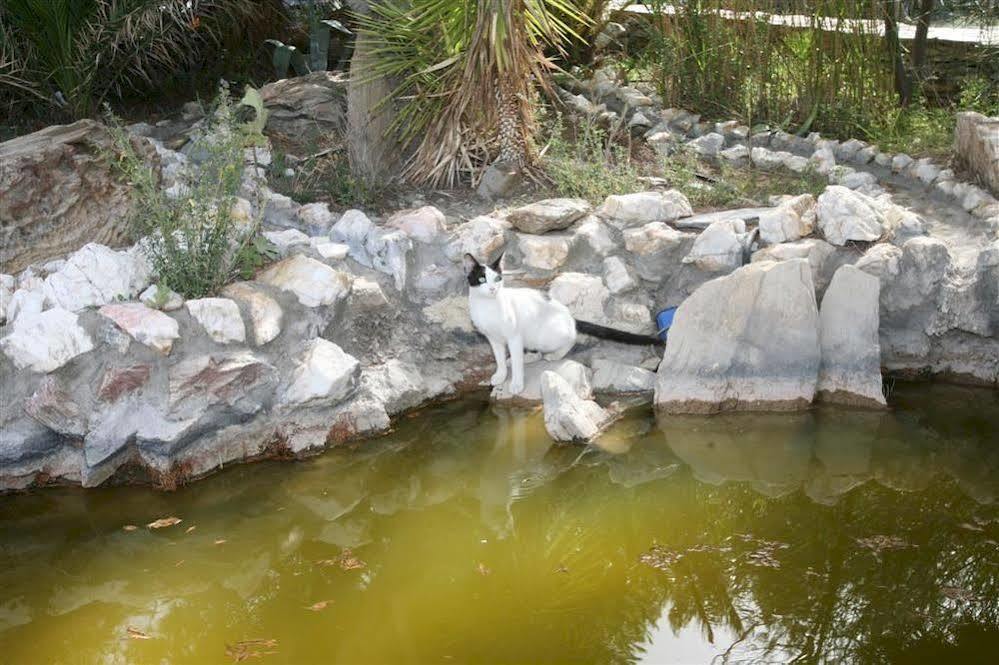 Aiolos Hotel Menites Bagian luar foto